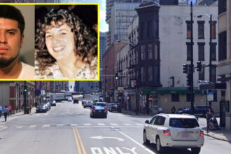 24 years for driver who intentionally ran over and killed a woman in front of her daughter in River North