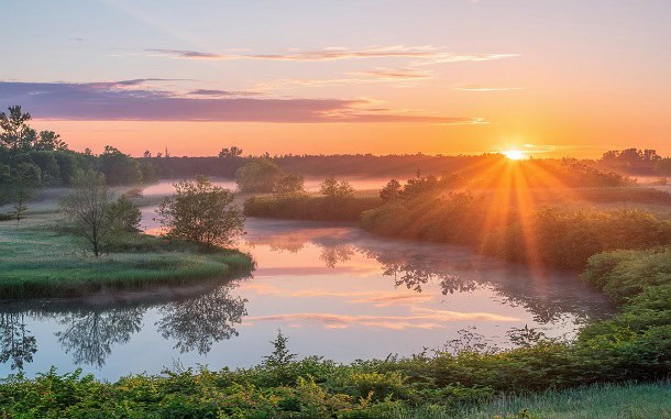 A sunrise by a river with lots of greenery.