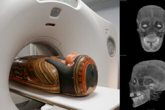 3D scans reveal secrets of a 3,000-year-old Egyptian mummy's coffin