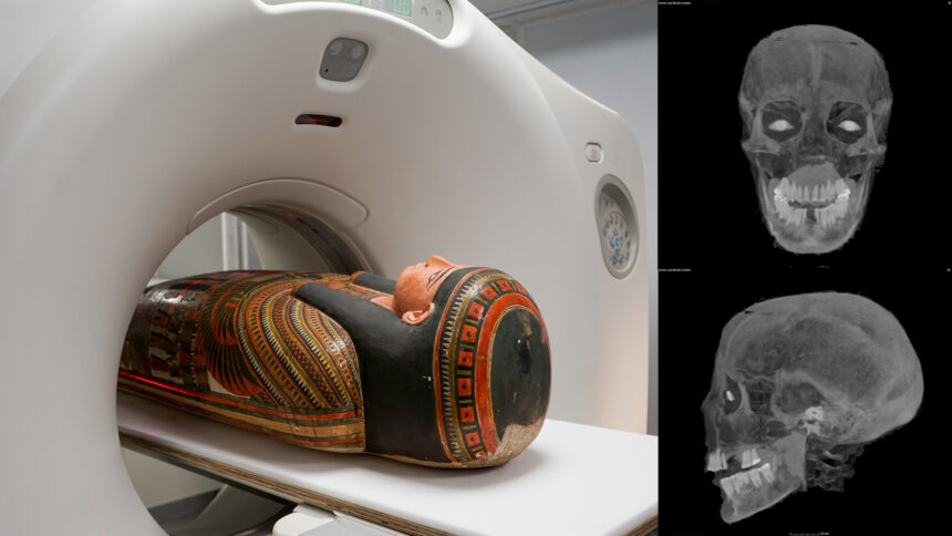 3D scans reveal secrets of a 3,000-year-old Egyptian mummy's coffin