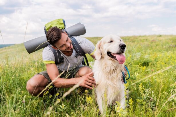5 Dog-Friendly Fitness Ideas: Get Moving Outside With Your Dog