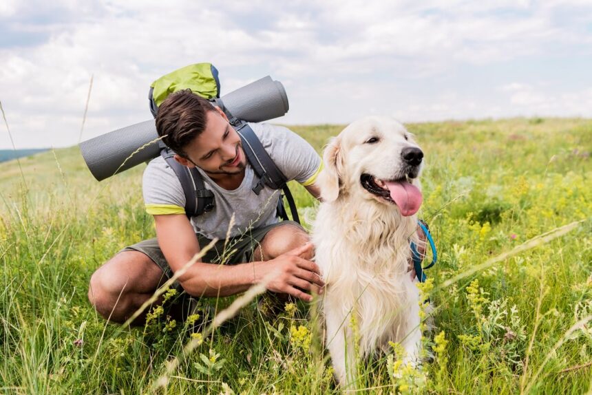 5 Dog-Friendly Fitness Ideas: Get Moving Outside With Your Dog