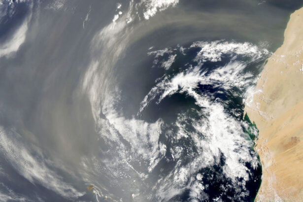 A transatlantic flight may turn Saharan dust into a key ocean nutrient