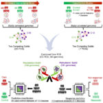 AI models help redefine core microbiome for personalized therapies