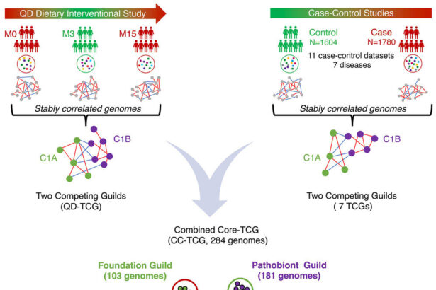 AI models help redefine core microbiome for personalized therapies