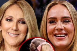 Adele in Tears After Spotting Celine Dion at Las Vegas Residency