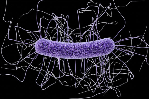 An mRNA vaccine protected mice against deadly intestinal C. difficile bacteria