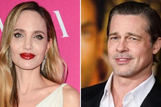 Angelina Ditching FBI Battle Over Brad Plane 'Bust-Up' Is 'White Flag'