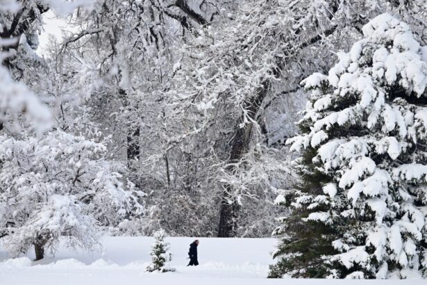 Another 10 inches of snow possible for Colorado mountains Sunday