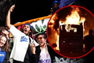 Chaos Ensues Across L.A. After Dodgers Win World Series, Footage Shows