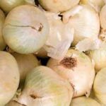 Colorado farm recalls onions possibly linked to McDonald's E. coli