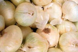 Colorado farm recalls onions possibly linked to McDonald's E. coli