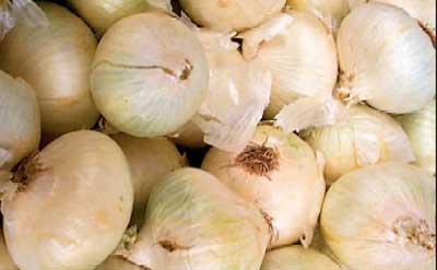 Colorado farm recalls onions possibly linked to McDonald's E. coli