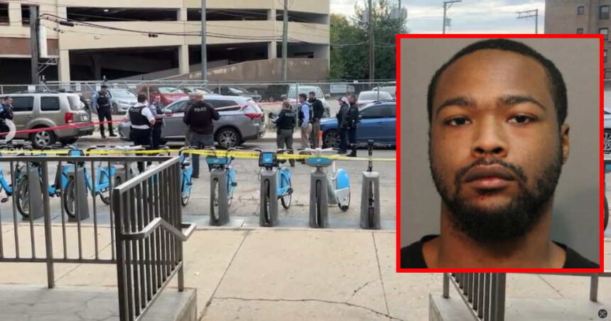 Concealed carry holder charged with shooting outside Loyola Red Line station