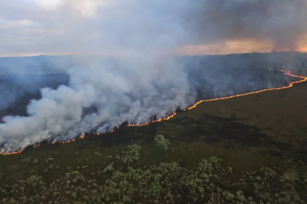 'Decades to recover' from wetland fire