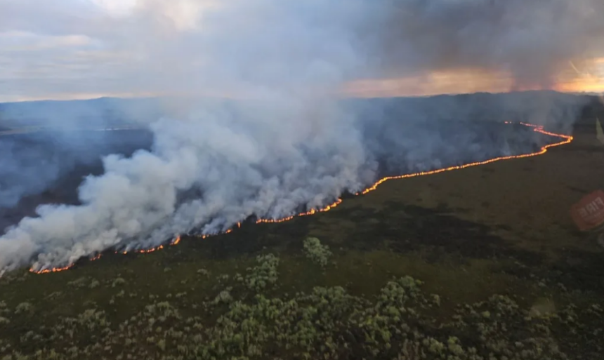 'Decades to recover' from wetland fire