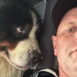 Dog's Eyes 'Say It All' After Firefighter Saves Him From Hurricane Flooding