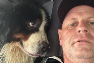 Dog's Eyes 'Say It All' After Firefighter Saves Him From Hurricane Flooding