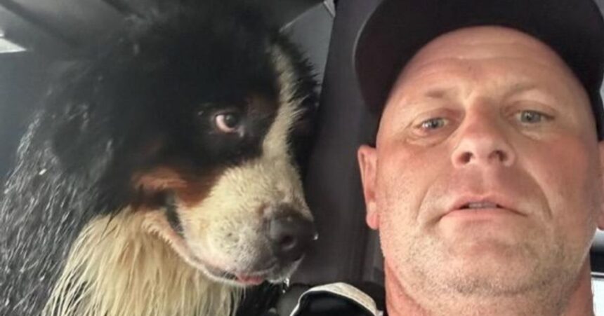 Dog's Eyes 'Say It All' After Firefighter Saves Him From Hurricane Flooding