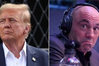 Donald Trump Spends 3 Hours Babbling to Joe Rogan About UFOs