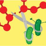 Illustration of two microbes in the openings of a pair of scissors