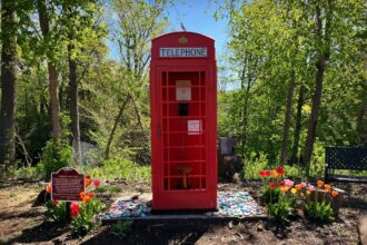 a red telephone booth in a park