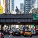 a large aluminum pigeon sculpture on a walkway above a road