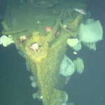 'Ghost Ship of the Pacific' rediscovered with underwater drones