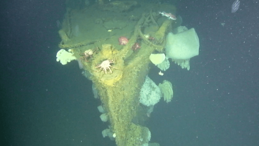 'Ghost Ship of the Pacific' rediscovered with underwater drones