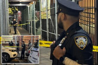 Girl, 15, shot and wounded after gunfire erupts in Bronx: police