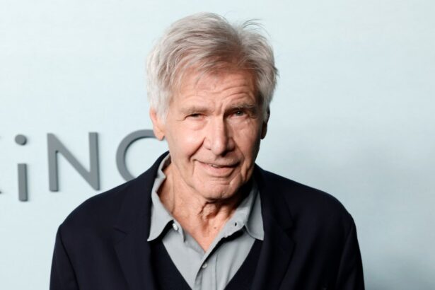 Harrison Ford Still Acting for the 'Essential Human Contact'