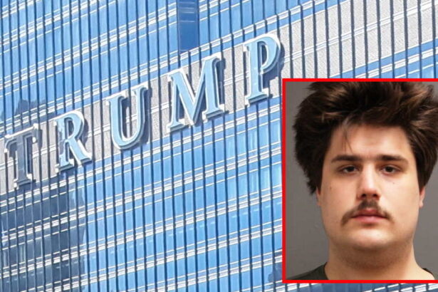 He broke $145,000 worth of Trump Tower windows because seeing the former president 'makes him do it,' police say