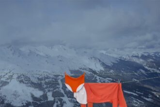 orange and white garments draped over a clothesline to look like a fox