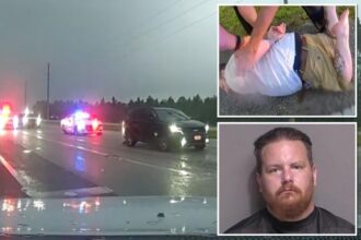 Hit-and-run suspect leads cops on 3 mph pursuit down Florida highway