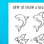 How to Draw a Shark Feature