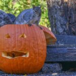 How to squirrel-proof your pumpkins