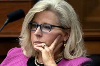 JUST IN: Bar Complaint Filed Against Liz Cheney For Secretly Communicating with J6 'Star Witness' Cassidy Hutchinson | The Gateway Pundit