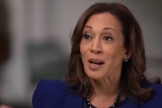 Kamala Harris Stutters as She Repeatedly Denies She Was Engaged in a Massive Coverup Around Biden's Cognitive Decline (VIDEO) | The Gateway Pundit