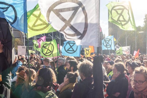 Lessons from Extinction Rebellion: the spark