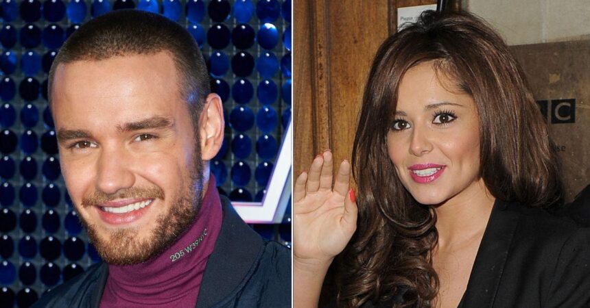 Liam Payne Praised Ex Cheryl for Understanding What He Was ‘Going Through’