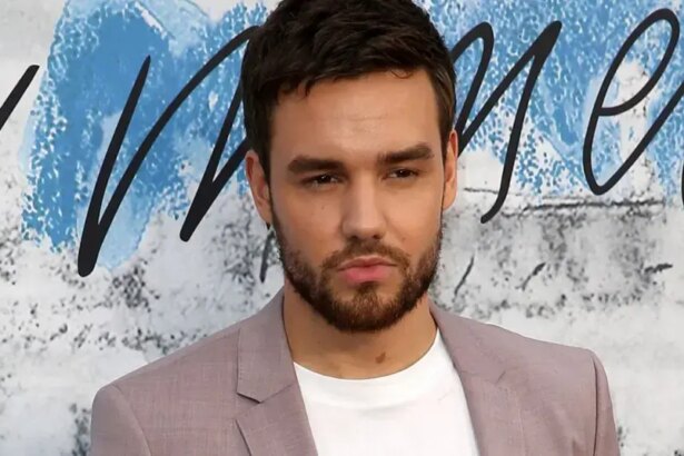Liam Payne Promised To Leave His  Million Fortune To His Son Bear