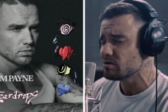 Liam Payne's Unreleased Album Lyrics Spark Suicide Fears About Singer