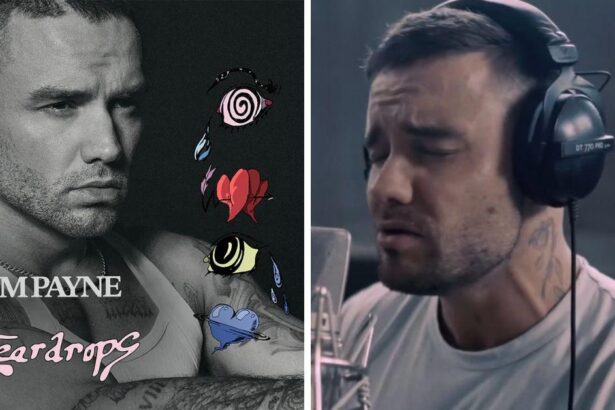 Liam Payne’s Unreleased Album Lyrics Spark Suicide Fears About Singer