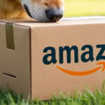 Man walking dog finds possible human head inside an Amazon box