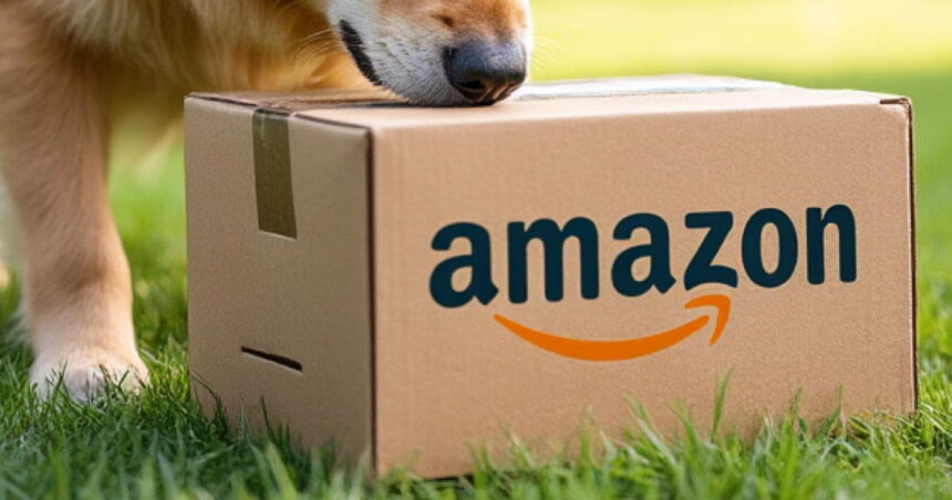 Man walking dog finds possible human head inside an Amazon box