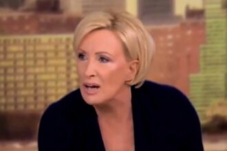 Mika the Mental Case Calls Trump's MSG Rally a 'White Nationalist Nazi Type Rally' on The View (VIDEO) | The Gateway Pundit