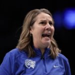 Minnesota coach Cheryl Reeve says series ‘stolen’ after poor officiating in WNBA Finals loss to Liberty