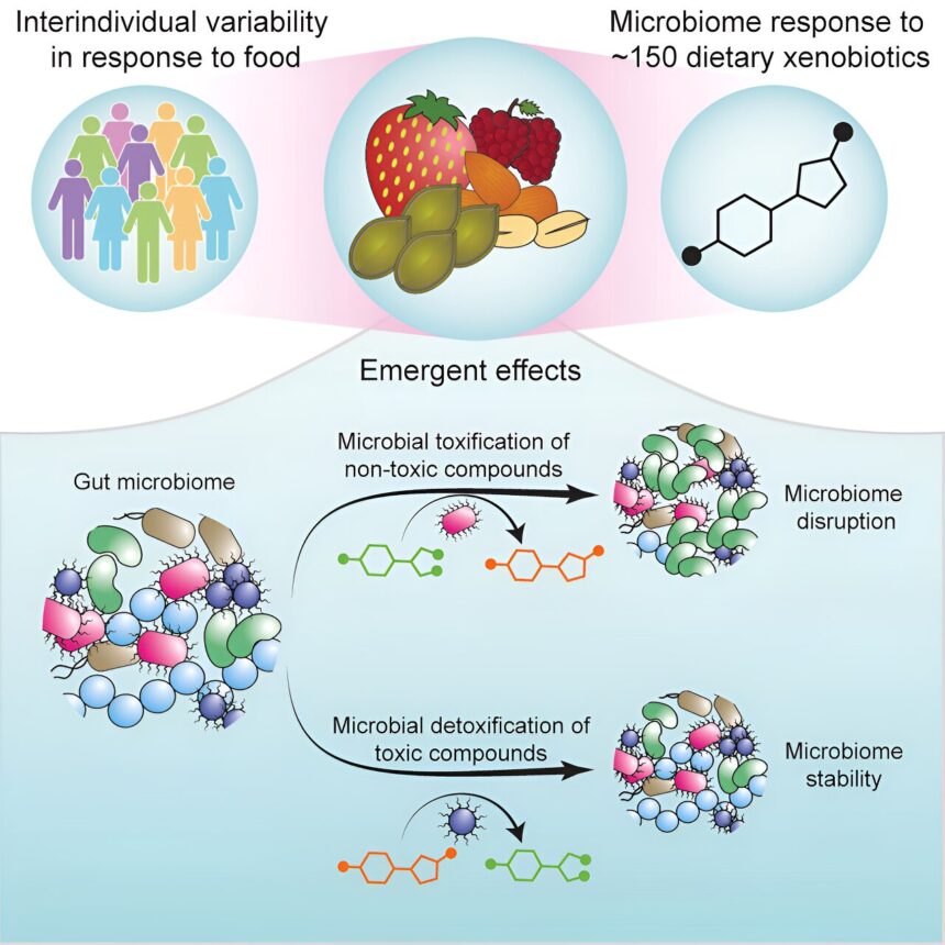 Molecular map points the way toward better food choices