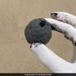 'Mysterious Black Balls' Spotted At Sydney Beaches