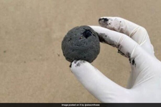 'Mysterious Black Balls' Spotted At Sydney Beaches